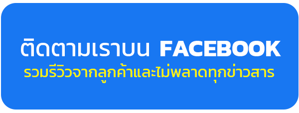 Facebook Baojai Bag